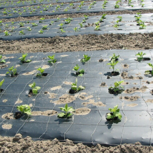 Recyclable agriculture film